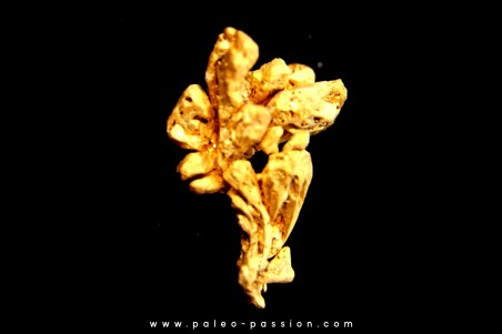 native gold  - Crystallized gold  - France