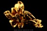 native gold  - Crystallized gold  - France