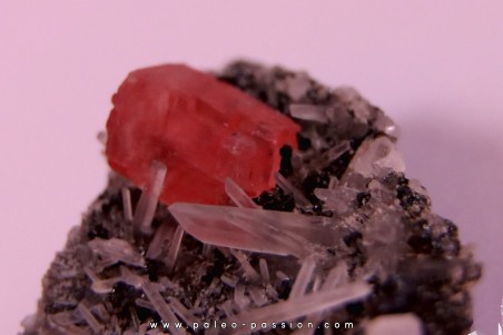 Rhodochrosite - Quartz // Sweet home - Colorado - USA