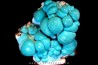 chrysocolle  M'fouati - République du Congo chrysocolle  M'fouati - République du Congo