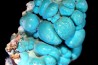 chrysocolle  M'fouati - République du Congo chrysocolle  M'fouati - République du Congo