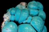 chrysocolle  M'fouati - République du Congo chrysocolle  M'fouati - République du Congo