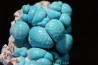 chrysocolle  M'fouati - République du Congo chrysocolle  M'fouati - République du Congo