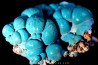 chrysocolle  M'fouati - République du Congo chrysocolle  M'fouati - République du Congo