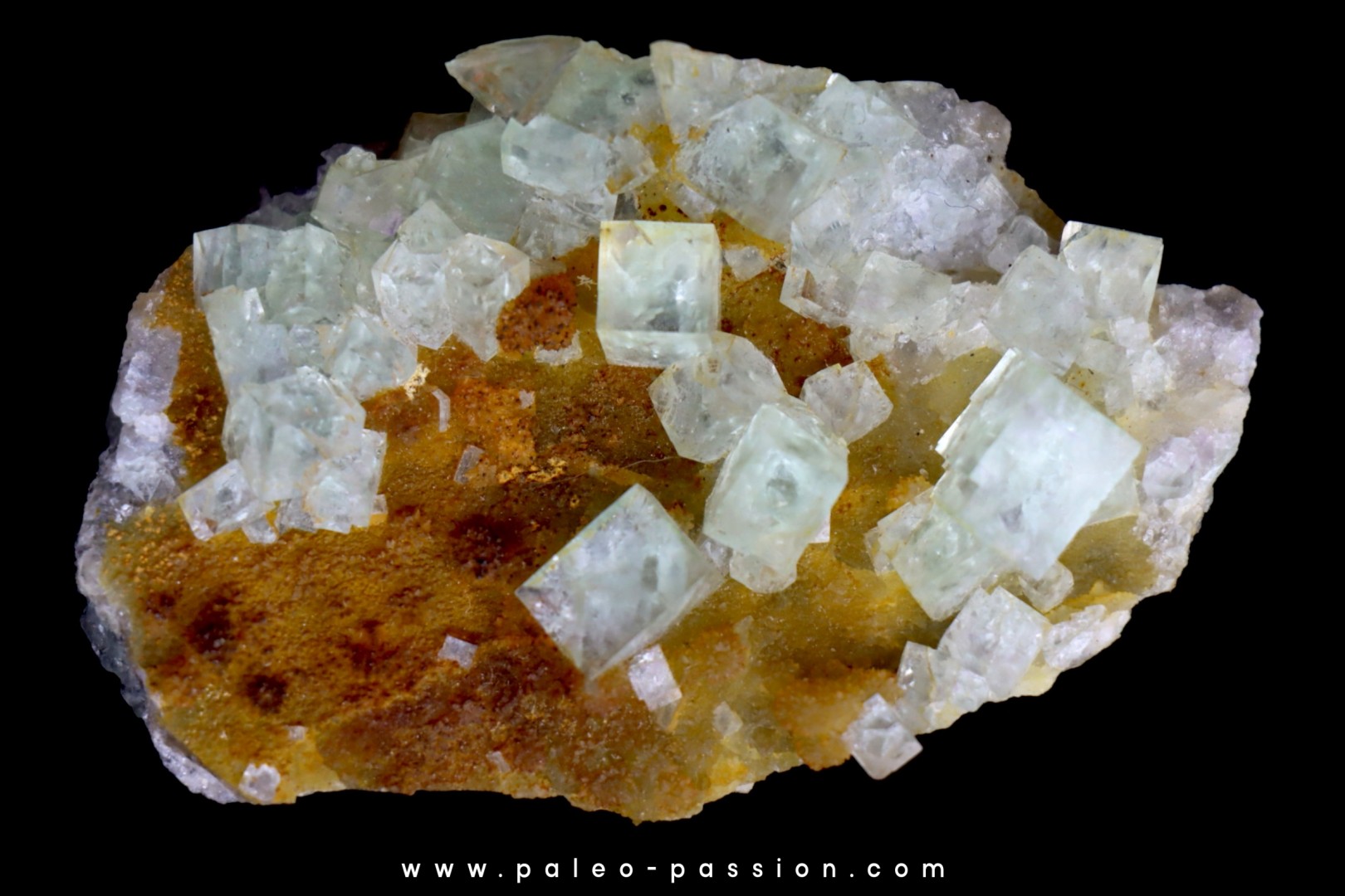 fluorine verte, choir area Mongolia fluorine verte, choir area Mongolia