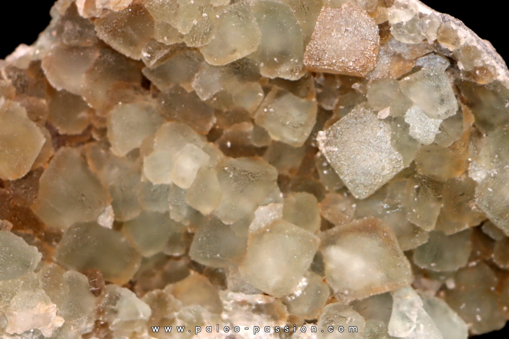 fluorine  -  Fonsante - France fluorine  -  Fonsante - France