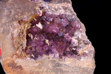 violet Fluorite - Bergheim, Alsace - FRANCE