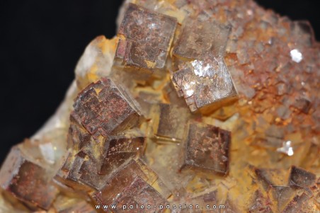 fluorine  Mine Voltennes, puit Renée bis - Petite Verriere (71) - FRANCE