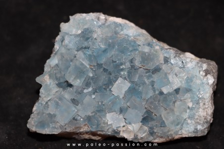 blue fluorite   Mont-Roc - FRANCE