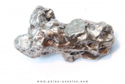 METEORITE  Campo del Cielo