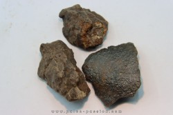 set of 3 METEORITES Ordinary chondrite NWA