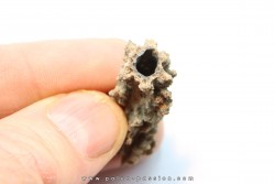 FULGURITE