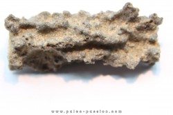 FULGURITE