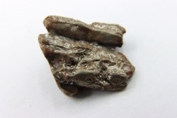 Météorite Uruaçu - Brésil