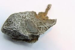 Météorite AGOUDAL IMILCHIL - Morocco