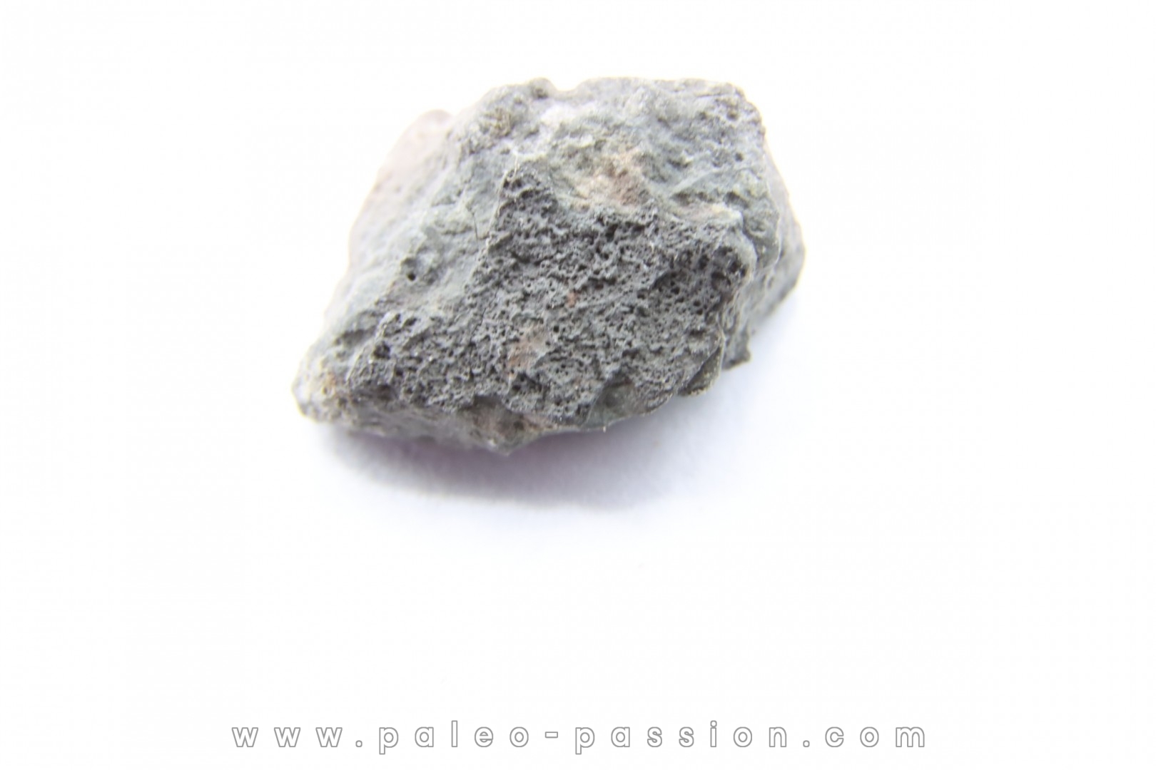 Lignite couche K-T Mexique #18 – 1 g – Allmétéorite – Pour la
