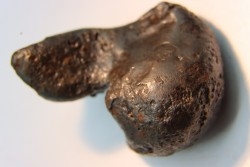 Météorite orientée: SIKHOTE ALIN - Russie