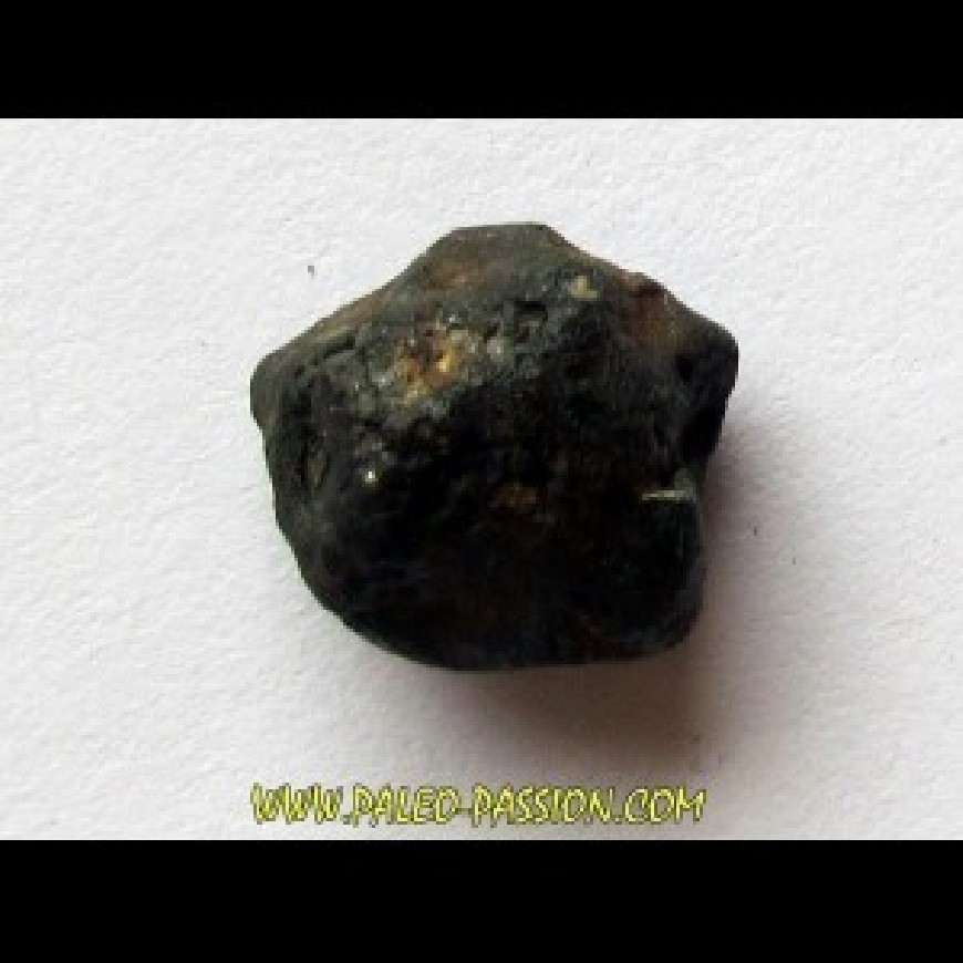 2- Chondrites