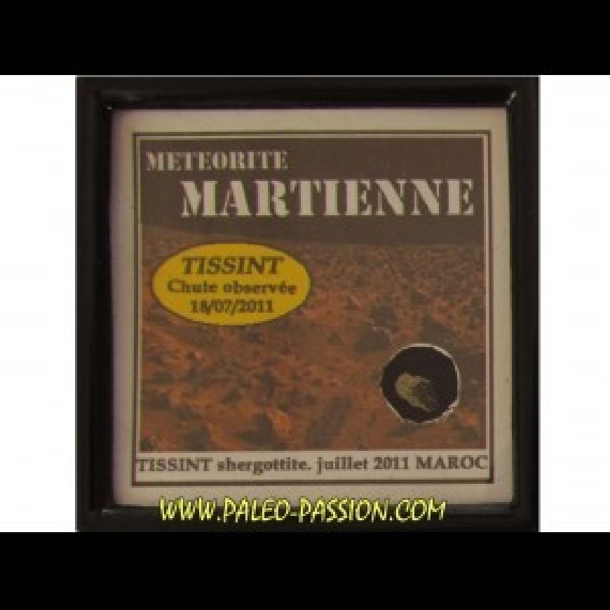 5- Martienne