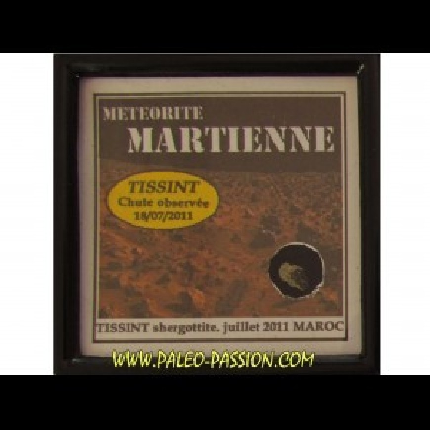 Martienne