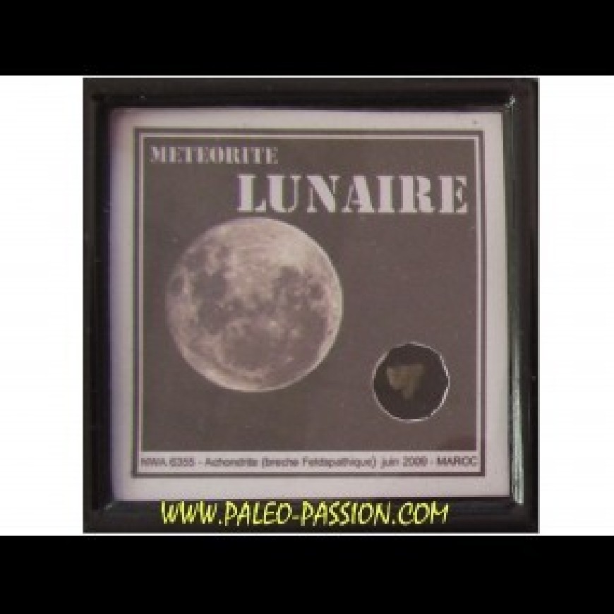 6- Lunaire