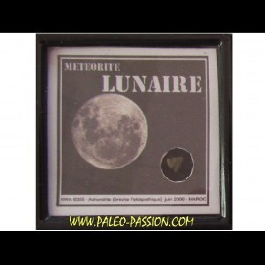 Lunaire