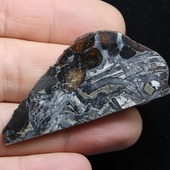 • Seymchan • 
Seymchan est une météorite pallasite trouvée en juin 1967, près de la colonie de Seymchan, dans le district de Magadan en Yakoutie, dans l'Extrême-Orient russe. Ce morceau fait 21.8g environ. 
•
261€ 
Lien vers la boutique dans notre bio
Météorites / Météorite 
#météorites #meteorites #mars #shergottite #spacerocks #rocks #rocksandminerals #ancient #meteor #nature #imca #paleopassion 
Ref. 5293