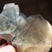 • Fluorite bleue • 
Beau bloc géométrique de fluorite bleue de 8 par 6cm environ. Il a été trouvé à Trébas, dans le Tarn, en France. 
• 
560€ 
Lien vers la boutique dans notre bio 
Minéraux / Halogénures 
Ref. 3747 
#geology #fluorite #minerals#rocks #geologyrocks #mineral #igdaily #minerales #nature #paleopassion