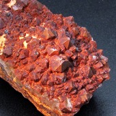 • Quartz rouge • 
Un spécimen de quartz rouge de 7cm par 3,5cm. Il a été trouvé au sommet de Le Brézouard, près de Sainte Marie aux Mines, en Alsace, en France. 
• 28€ 
Lien vers la boutique dans notre bio
Minéraux / France 
#geology #géologie #minéraux #quartz #minerals #rocks #geologyrocks #mineral #cristaux #crystals #igdaily #minerales #nature #paleopassion 
Ref. 3622