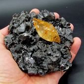 • Calcite sur sphalerite • 
Un superbe exemple de calcite d'Elmwood, ici sur des cristaux de sphalérite. Un cristal doublement terminé, maclé, d'une belle couleur cognac, mesurant 5,5 cm de diamètre sur une matrice de 12cm de sphalérite de couleur anthracite. Ils ont été trouvés dans la mine d'Elmwood, près de Carthage, dans le Tenessee aux États-Unis. 
• 
1450€ 
Lien vers le site dans notre bio
Minéraux / Carbonates 
#geology  #géologie #minéraux #calcite #sphalerite #minerals #rocks #geologyrocks #mineral #cristaux #crystals #igdaily #minerales #crystals #cristaux #nature #paleopassion 
Ref. 3741