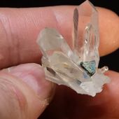 • Tétraédrite sur quartz • 
Un cristal de tétraédrite sur des cristaux de quartz prismatiques transparents et incolores. La tétraédrite est une espèce minérale de la famille des sulfosels contenant du fer, du cuivre et de l'antimoine Ces cristaux de quartz sont typiques de la mine de La Gardette, à Bourg d'Oisans dans l'Isère, en France. Cette pièce de 18g mesure 4cm. 
• 
145€ 
Lien vers le site dans notre bio
 Minéraux / Silicates 
#geology #géologie #minéraux #malachite #minerals #rocks #geologyrocks #mineral #cristaux #crystals #igdaily #minerales #crystals #cristaux #nature #paleopassion 
Ref. 5437
